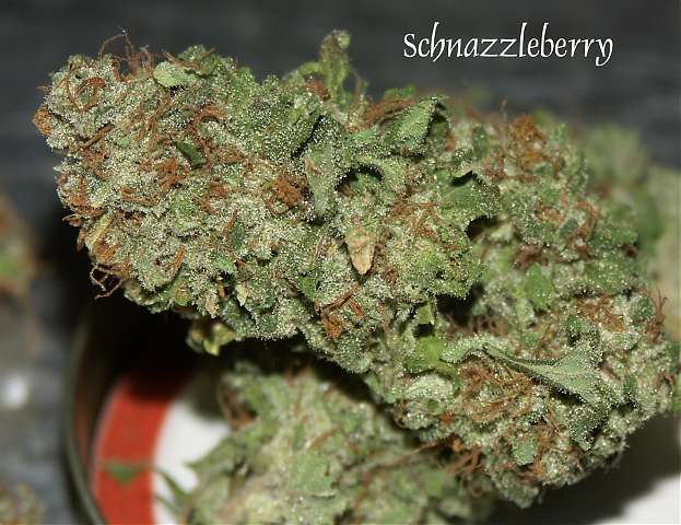 Schnazzleberry Weed