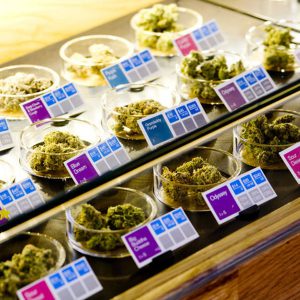 original-1284769735 Cannabis Dispensaries Display