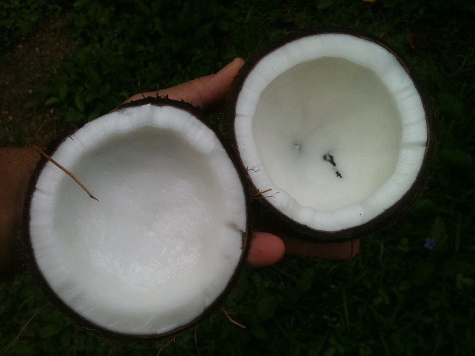 coconut oil stoner tools